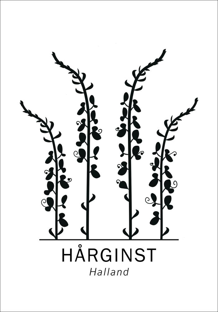 Bildverkstad Hårginst - Halland Poster