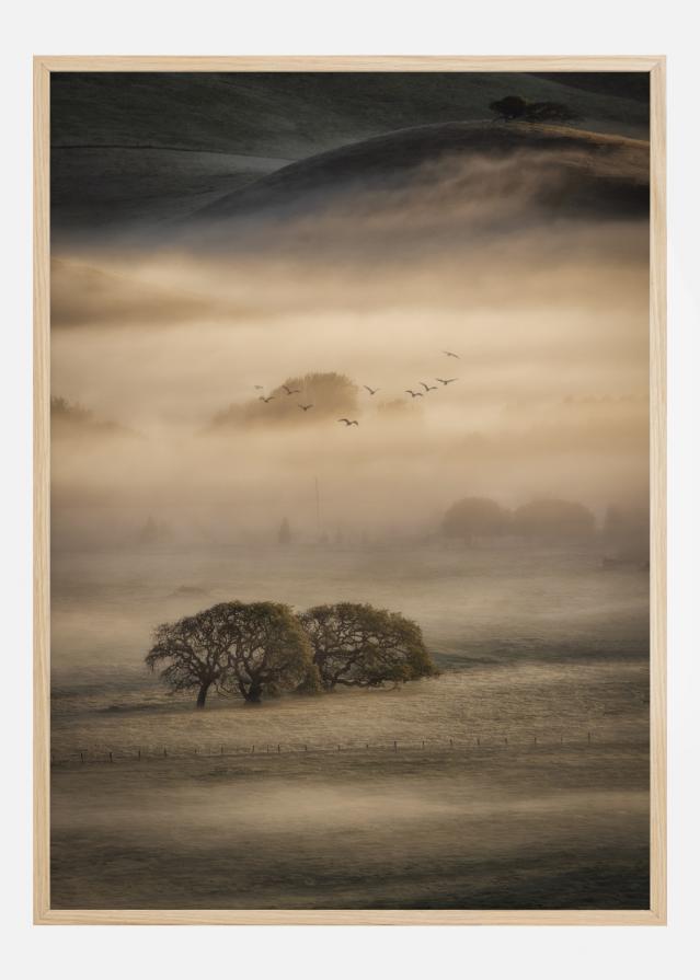 Bildverkstad Morning Fog Poster