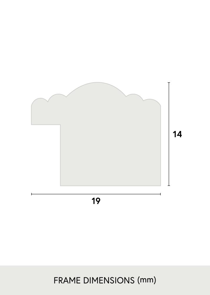 Focus Kader Tango Zwart 13x18 cm