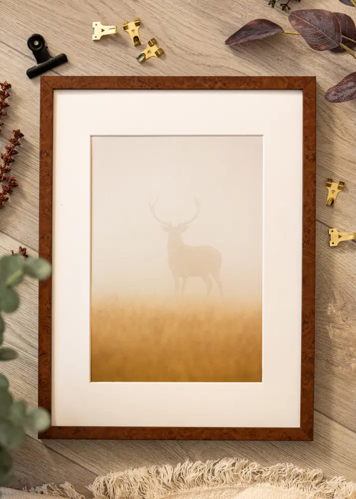 Mavanti Kader Ares Acrylglas Burr Walnut 50x60 cm