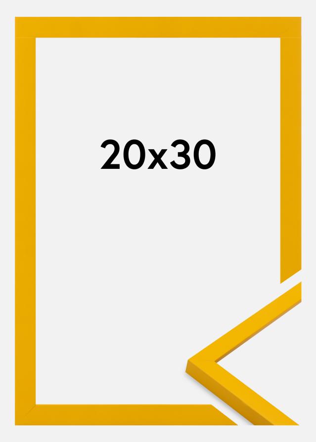 Jämtlands Ramfabrik Kader Kent Acrylglas Goud 20x30 cm