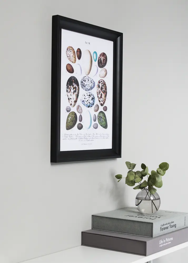Ram med passepartou Kader Öjaren Zwart 70x100 cm - Passe-partout Zwart 62x85 cm