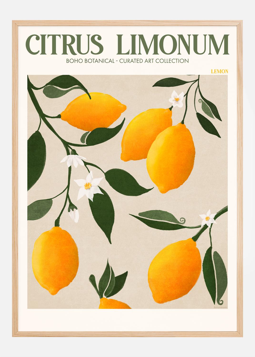 Product Image for Boho Citrus Limonum Poster (50x70 cm)
