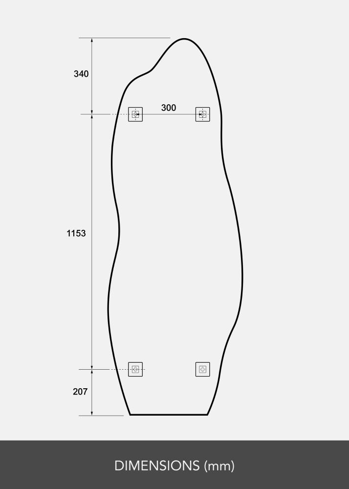 BGA Spiegel Echo 60x170 cm