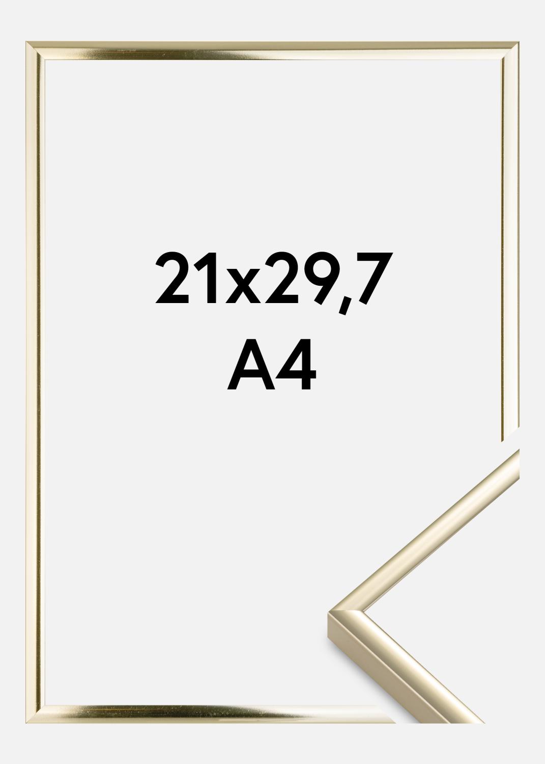 Product Image for Kader Aluminium Acrylglas Glanzend Goud 21x29,7 cm (A4)