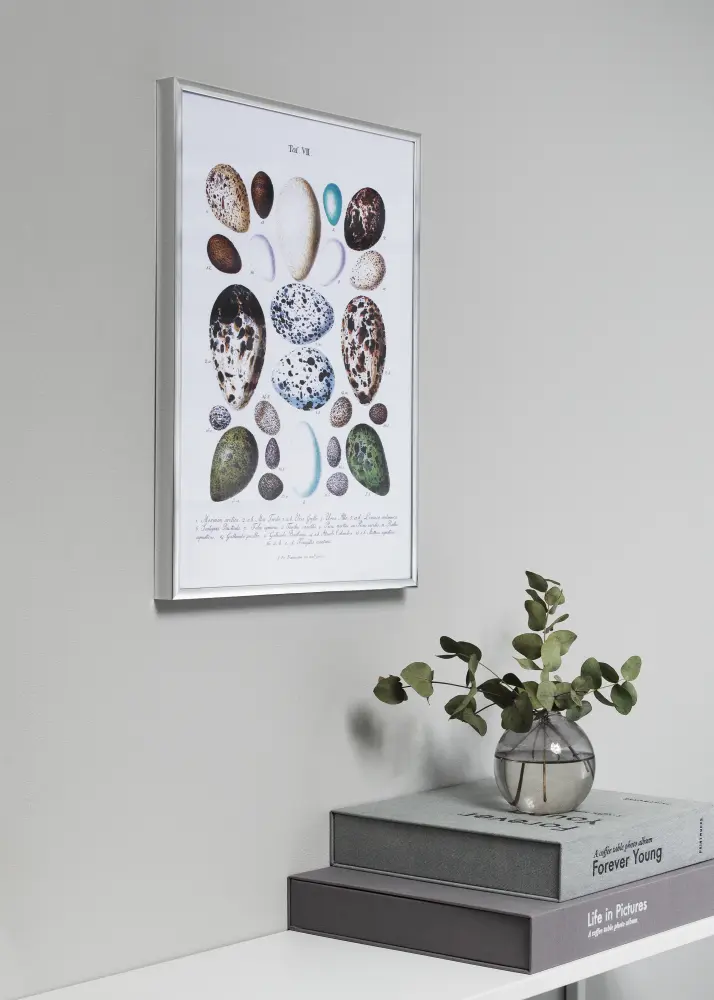 Ram med passepartou Kader Poster Frame Aluminium Zilver 70x100 cm - Passe-partout Zwart 24x36 inches