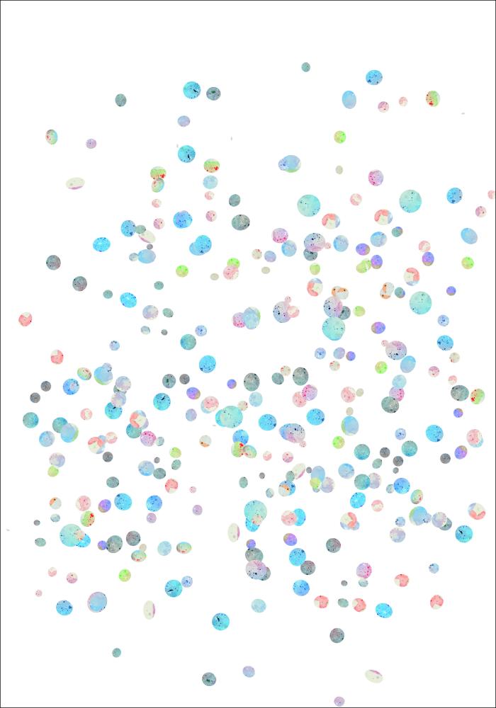 Bildverkstad Plankton Poster