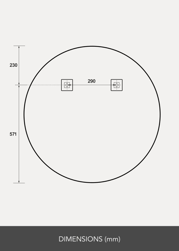 BGA Spiegel Ring LED 80 cm Ø