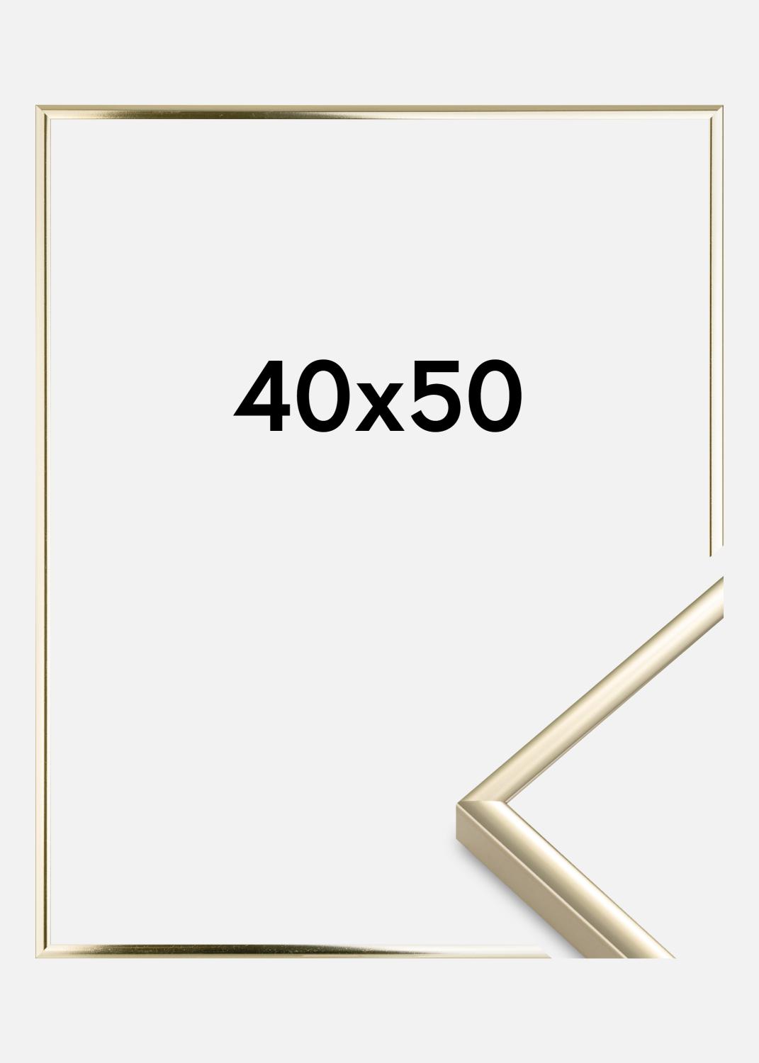 Product Image for Kader Aluminium Acrylglas Glanzend Goud 40x50 cm