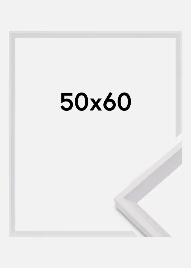 Galleri 1 Kader Globe Acrylglas Wit 50x60 cm