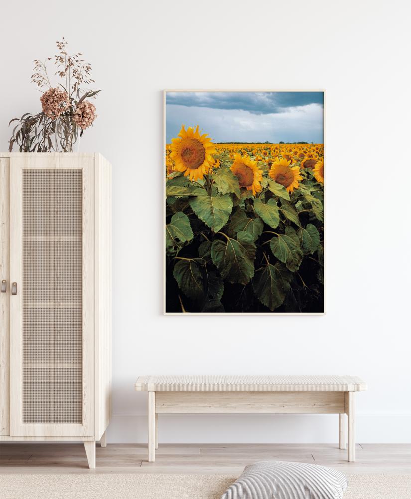 Bildverkstad Sunflowers Poster