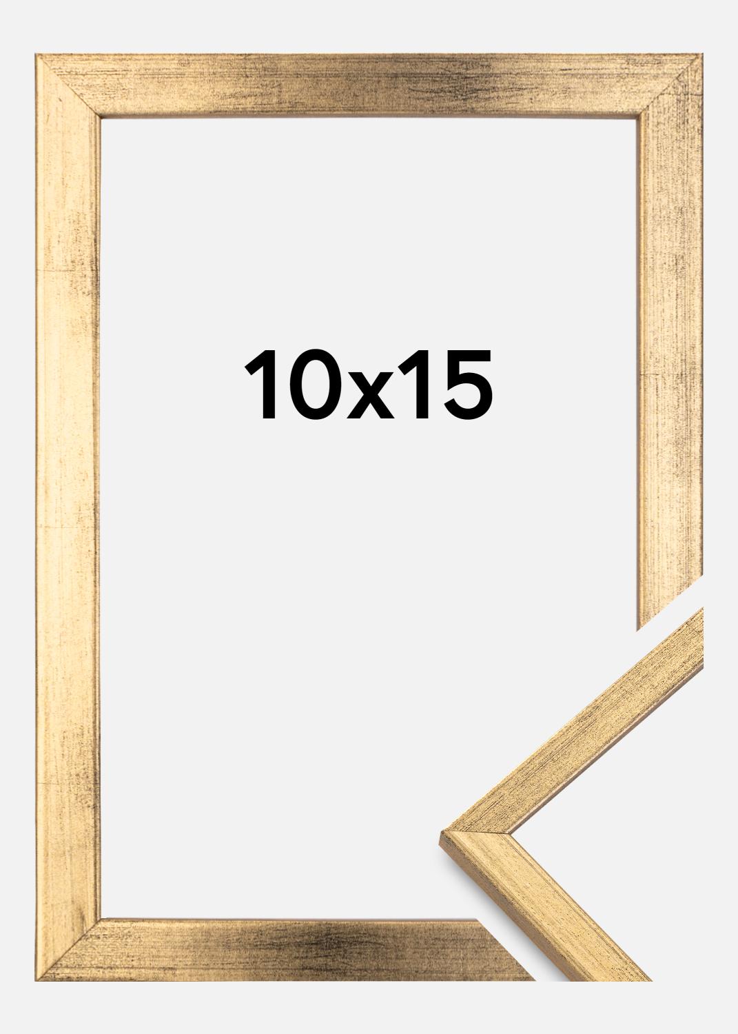 Product Image for Kader Galant Goud 10x15 cm