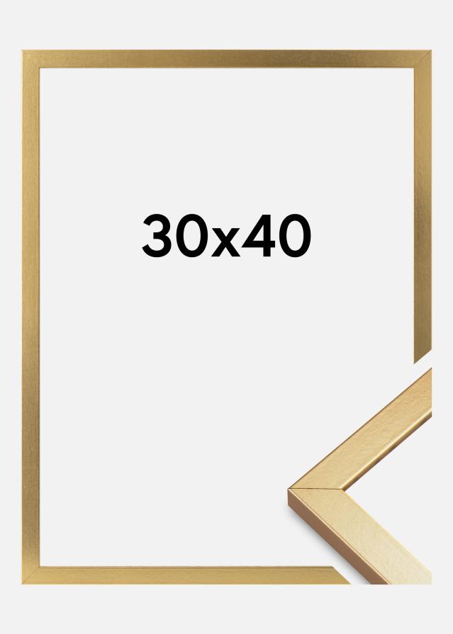 Mavanti Kader Minerva Acrylglas Goud 30x40 cm