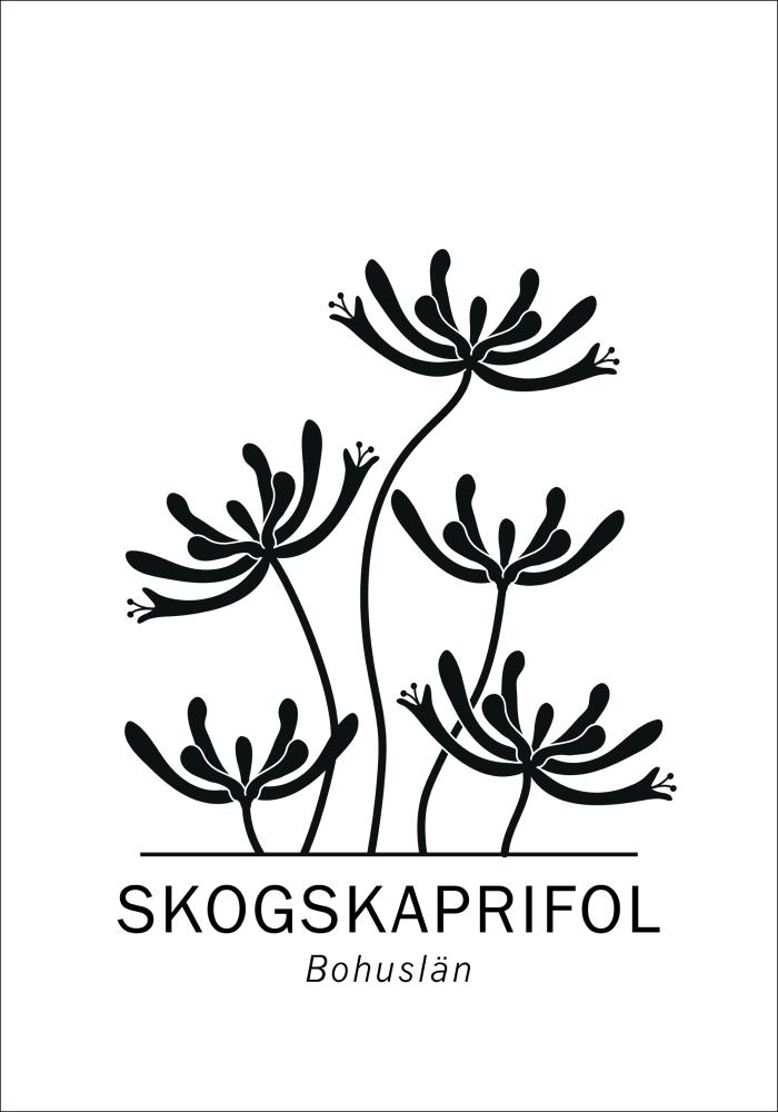 Bildverkstad Skogskaprifol - Bohuslän Poster