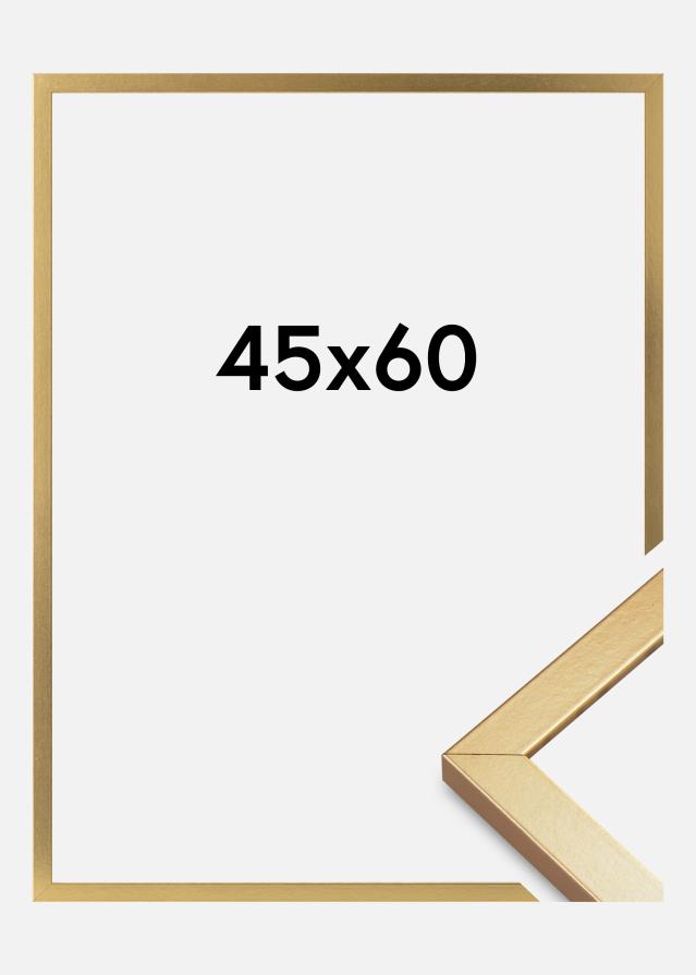 Mavanti Kader Minerva Acrylglas Goud 45x60 cm