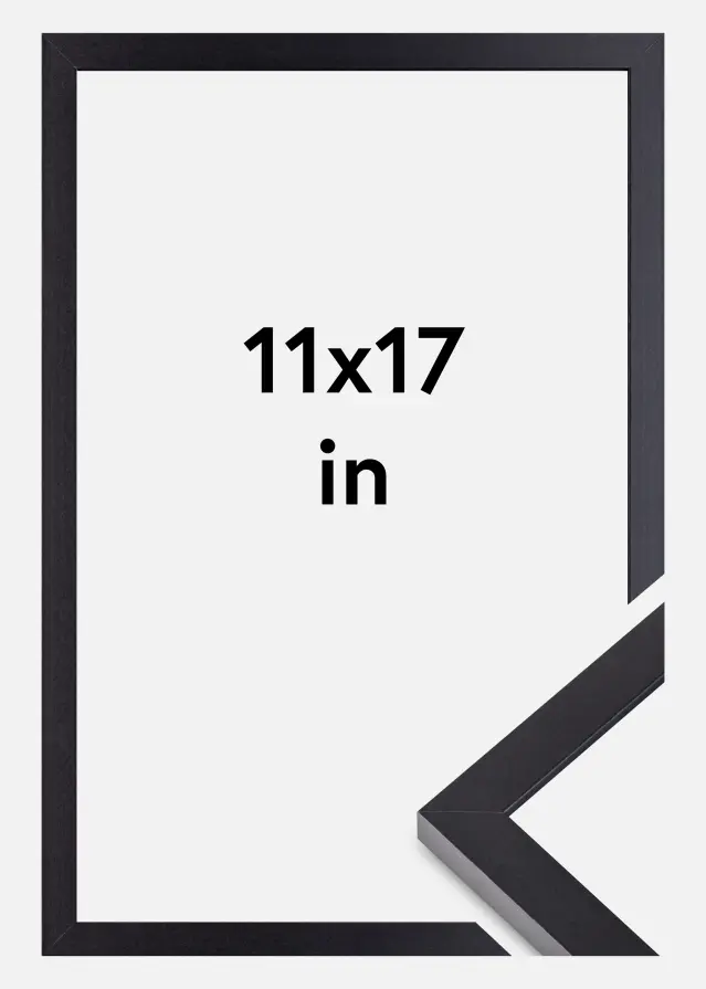 BGA Kader Selection Acrylglas Zwart 11x17 inches (27,94x43,18 cm)