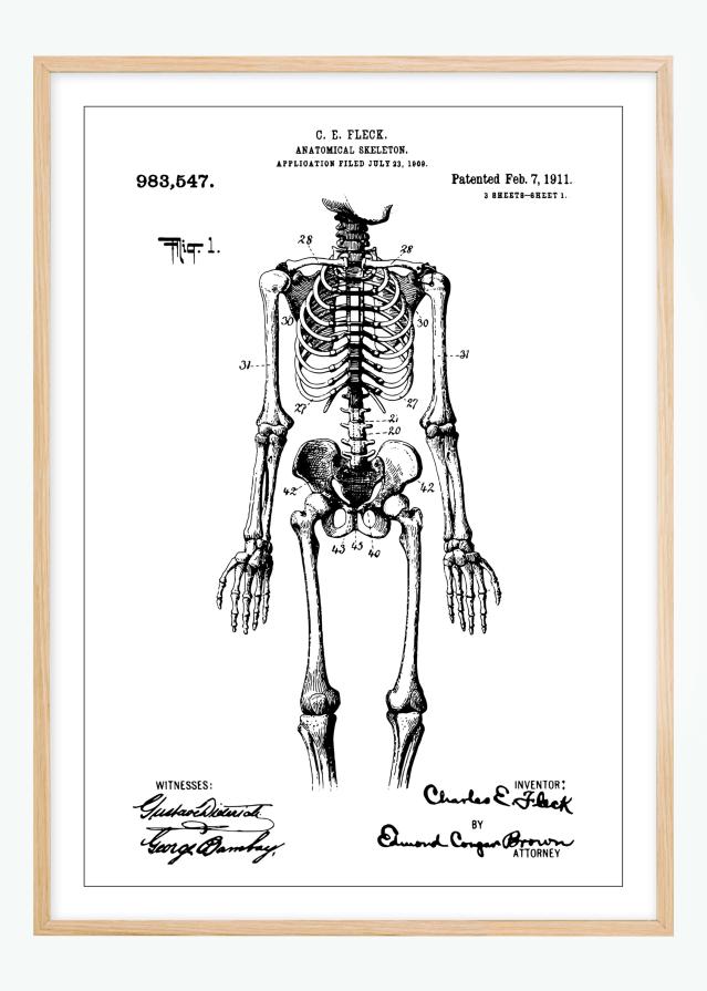 Bildverkstad Patenttekening - Anatomisch skelet I Poster