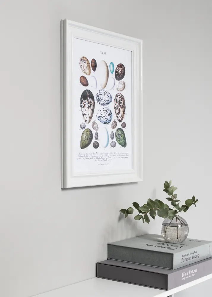 Focus Kader Charleston Wit 30x40 cm