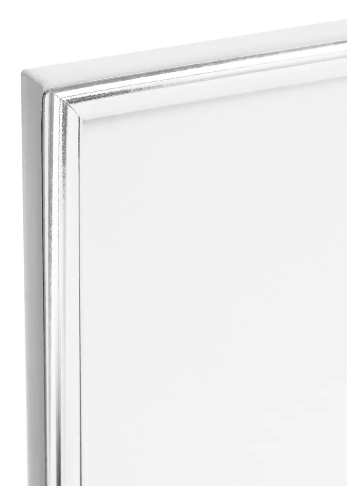 Walther Kader Chloe Zilver 6x9 cm