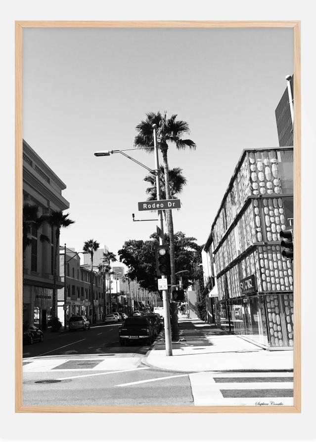 Bildverkstad Rodeo drive Poster