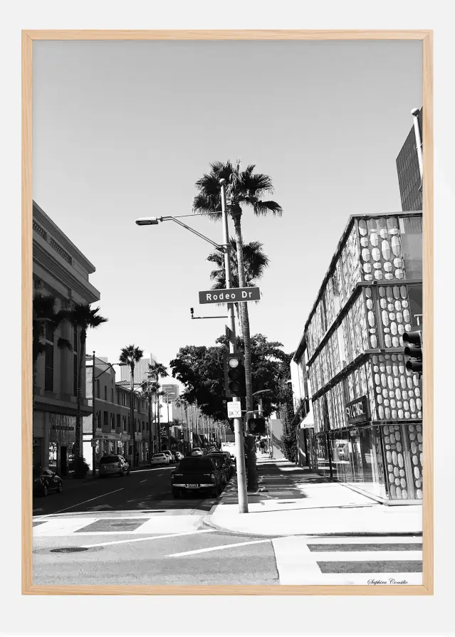 Bildverkstad Rodeo drive Poster