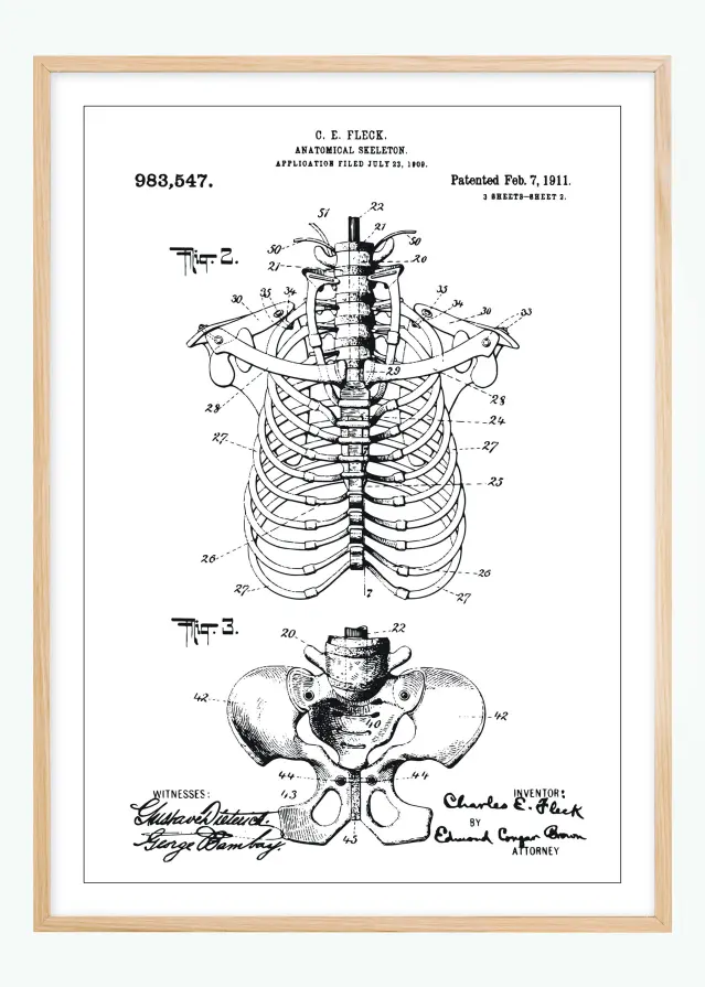 Bildverkstad Patenttekening - Anatomisch skelet II Poster