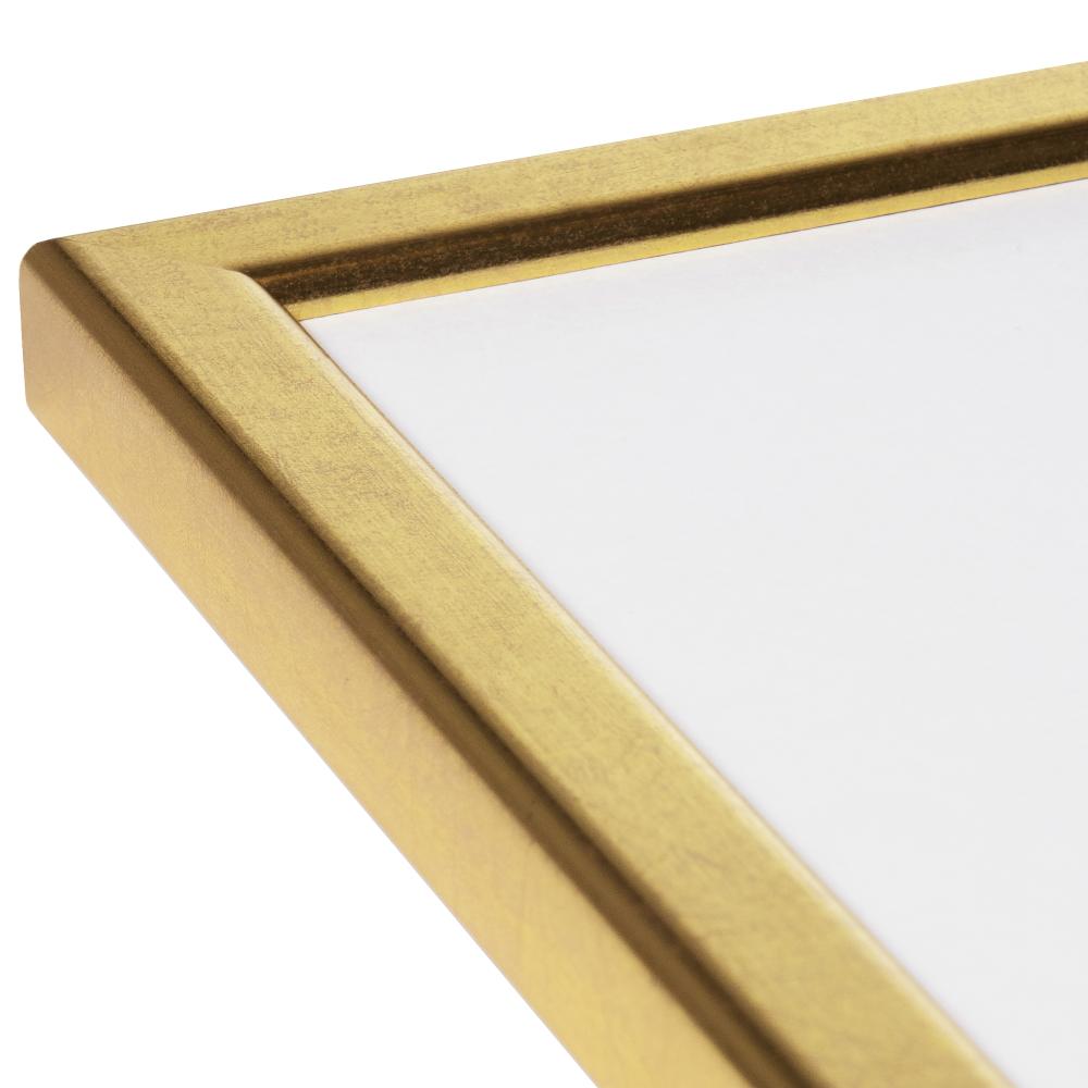 HHC Distribution Kader Slim Mat Ontspiegeld Glas Goud 15x20 cm