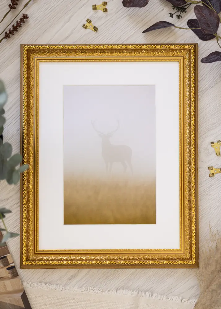 BGA Kader Ornate Acrylglas Goud 59,4x84 cm (A1)
