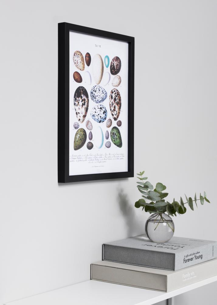 Estancia Kader Exclusief Zwart 50x50 cm