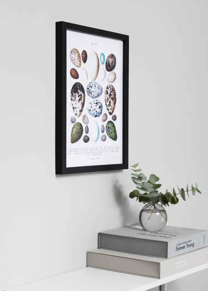 Estancia Kader Exclusief Zwart 50x50 cm