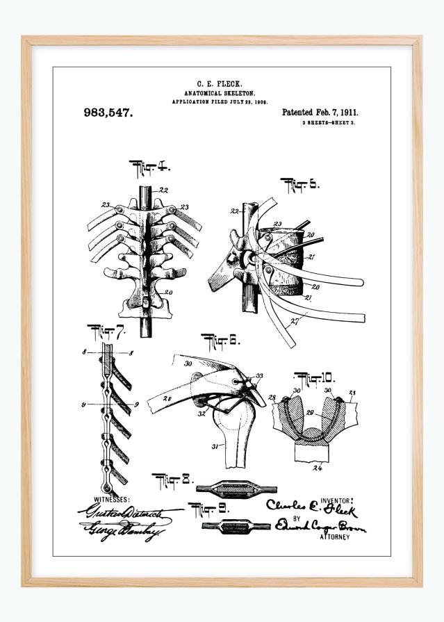 Bildverkstad Patenttekening - Anatomisch skelet III Poster