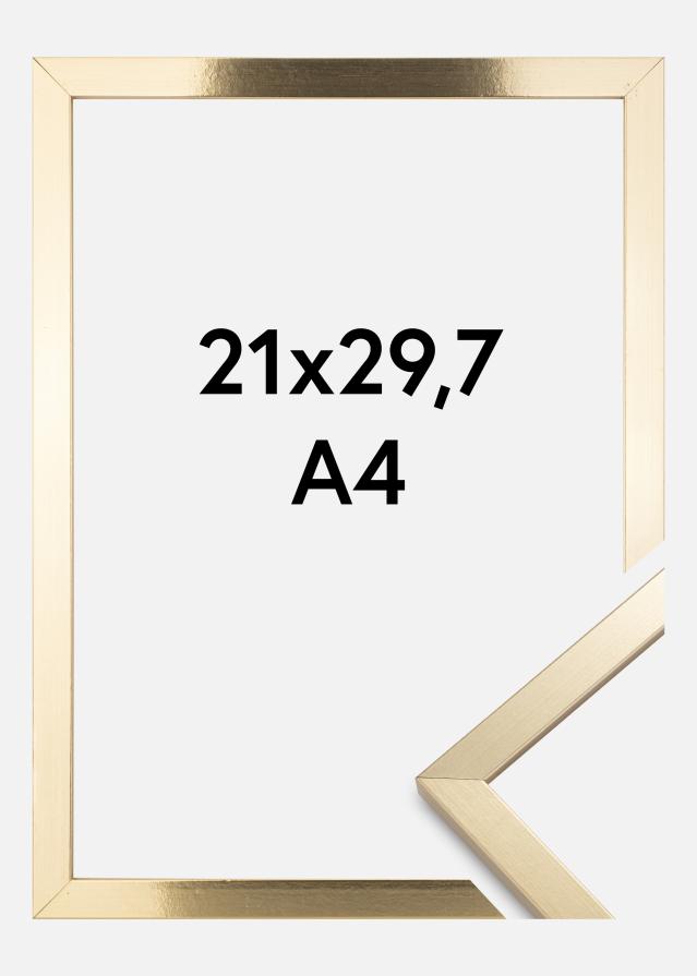 BGA Kader Trendy Acrylglas Goud 21x29,7 cm (A4)