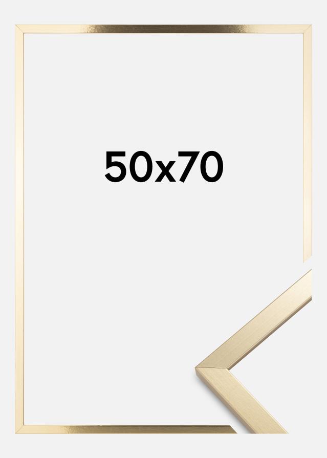 BGA Kader Trendy Acrylglas Goud 50x70 cm