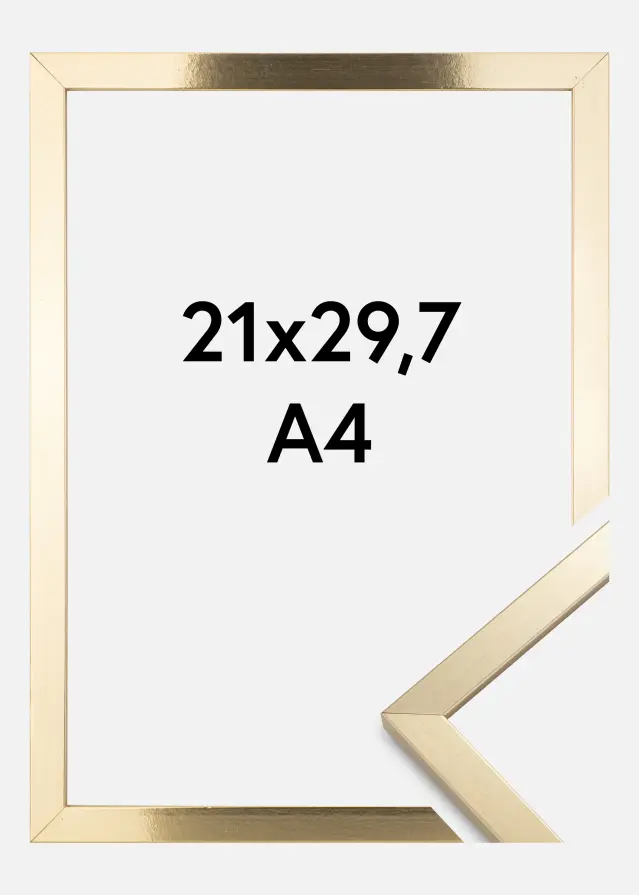 BGA Kader Trendy Acrylglas Goud 21x29,7 cm (A4)