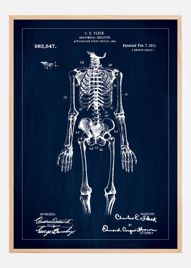 Bildverkstad Patenttekening - Anatomisch skelet I - Blauw Poster