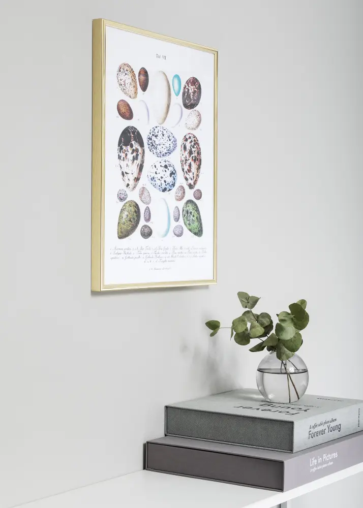 Nielsen Kader Nielsen Premium Classic Goud 40x50 cm