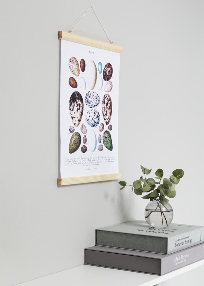 Artlink Posterhanger Nature - 40 cm