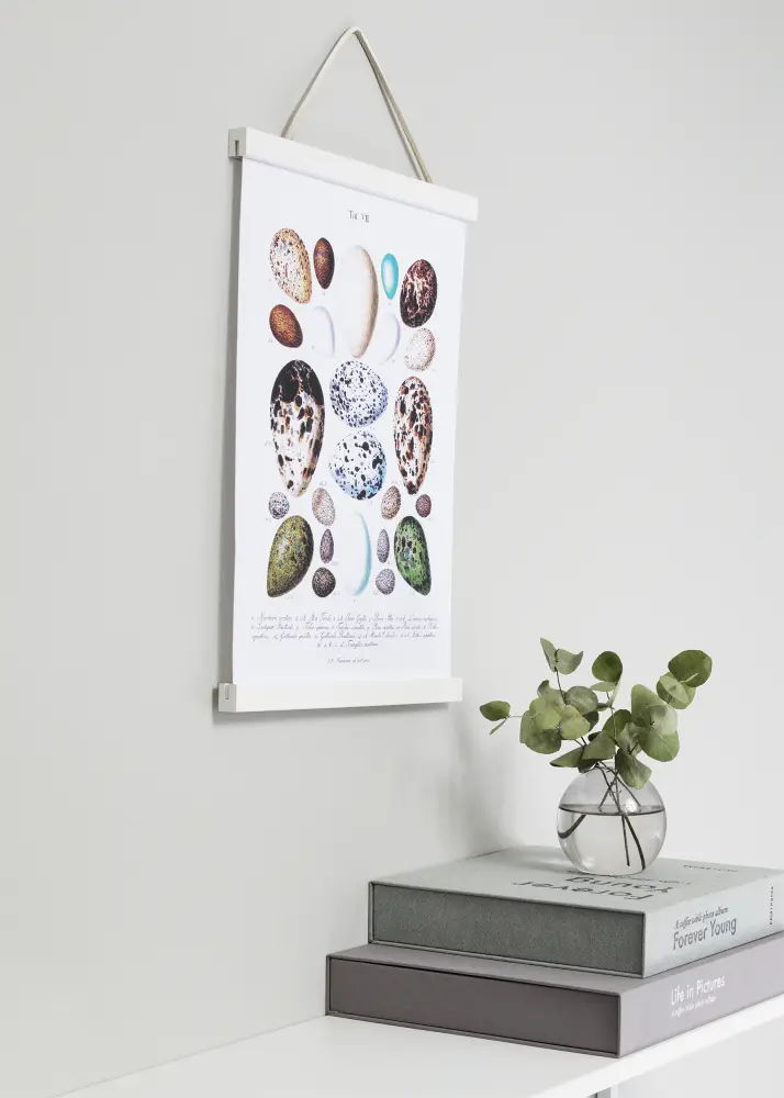 Focus Posterhanger Wit - 40 cm
