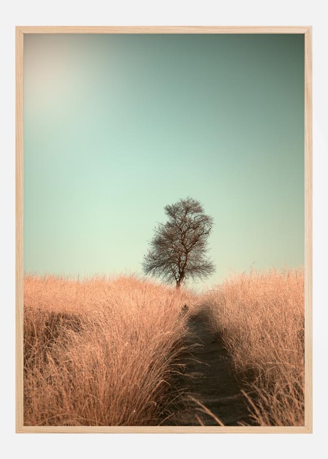 Bildverkstad Grass And Path Poster