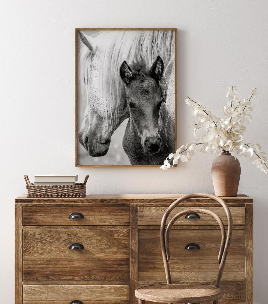 Bildverkstad The Foal Poster