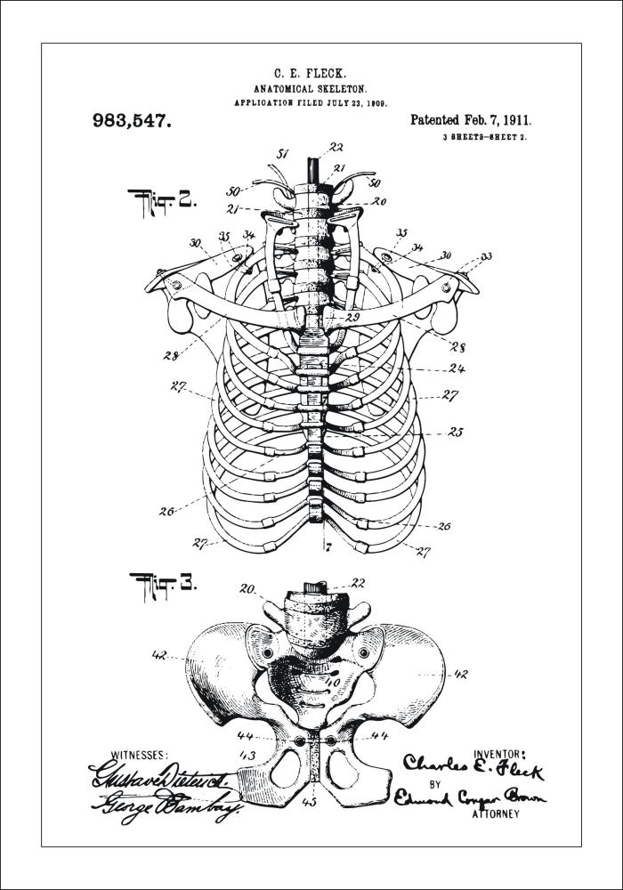 Bildverkstad Patenttekening - Anatomisch skelet II Poster