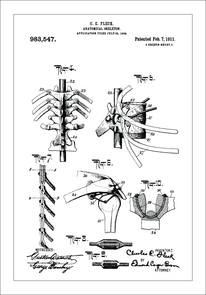 Bildverkstad Patenttekening - Anatomisch skelet III Poster