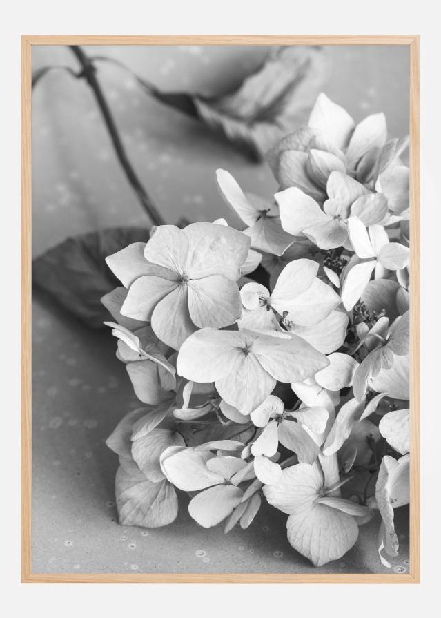 Bildverkstad Dried Flower Bw Poster